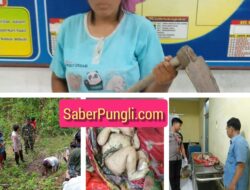 Unit Reskrim Polsek Tanah Jawa Gercep Ungkap Motif Ibu Kuburkan Anaknya,Berikut Kronologi Lengkapnya