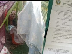Wanita Paruh Baya Tinggal di Bawah Pohon Berlantai Tanah Dekat TPU Sangat Memilukan