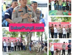 Gelar Qurban Presisi Polres Simalungun Sembelih 14 Hewan Qurban, Kapolres : Perkuat Persaudaraan Dan Semangat Berbagi