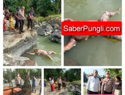 Kapolsek Tanah Jawa Pimpin Evakuasi Sesosok Mayat Perempuan Di Nagori Mariah Jambi