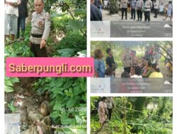 Polsek Tanah Jawa Evakuasi Jenazah Nayyara Maria Tambunan yang  Ditemukan Meninggal Dunia di Aliran Parit Irigasi Persawahan
