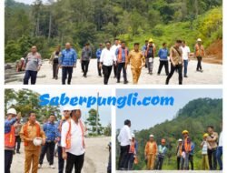 Tinjau Revitalisasi Objek Wisata Ikan Mas di Sipolha, Bupati Simalungun: ”Jangan dikerjakan asal jadi