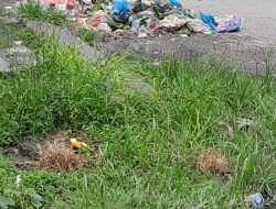 Hendra Gunawan Sinaga Tokoh Pemuda Minta Walikota Tanjungbalai Copot Kadis Lingkungan Hidup