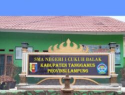 Terbongkarnya Kecurangan Lolosnya Seleksi PPPK Guru Honorer 3 Tahun Tidak Aktif