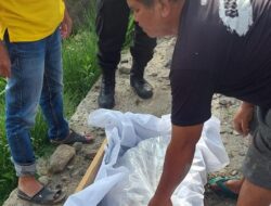 Masyarakat Haranggaol di Gegerkan Temuan Potongan Tubuh Manusia di Danau Toba,Polres Simalungun Gercep Evakuasi