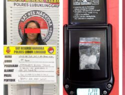 Hendak Antar Pesanan, IRT di tangkap Satres Narkoba Lubuklinggau