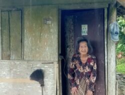 Nenek 79 Tahun Hidup Sebatang Kara Tinggal Di Dusun Padang Manis Pekon Ampai Kecamatan Limau