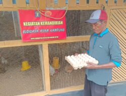 Warga Binaan LAPASTIKA Karang Intan Ternak Ayam Dwiguna Secara Mandiri