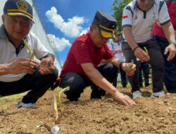 Budidaya Porang Di Lapas Karang Intan: Kolaborasi Untuk Masa Depan Warga Binaan