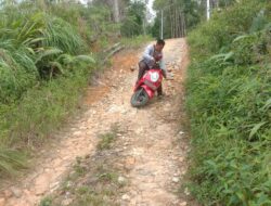 Dugaan Ilegal Logging Sempat Viral di Desa Sialogo, Kini Tumpukan Kayu Tidak Terlihat Dilokasi