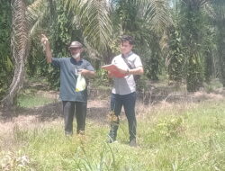 Lahan 7000 Meter Persegi Dikuasai Secara Ilegal: Kisah Pilu Budisokhi Zebua