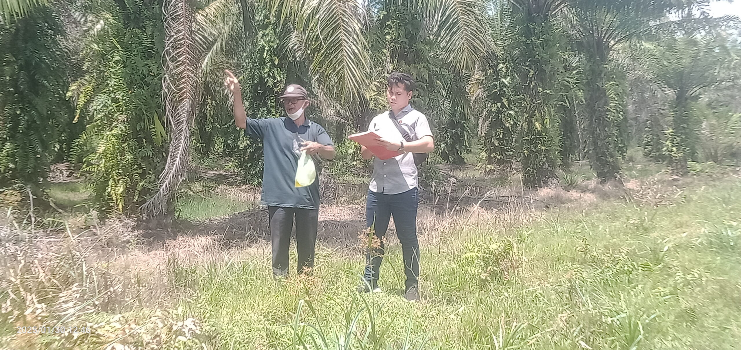 Gambar : Situasi objek lahan yang menjadi sengketa di Divisi III Desa Sitardas, Kamis (30/1/2024).