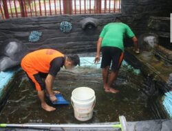 Merawat Kolam, Menjaga Iman: Kegiatan Rutin Warga Binaan Nasrani Lapas Banjarmasin