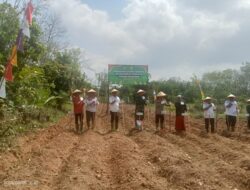 Penanaman Jagung Serentak Mendukung Program Ketahanan Pangan Nasional Menuju Indonesia emas