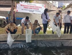 Yulistina Heryanti Dorong Kemandirian Desa Lewat Program Pembesaran Ikan Lele BUMDes Beringin Jaya