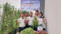 Rutan Kelas IIB Kota Agung Ikuti Panen Raya Serentak Jajaran Pemasyarakatan, Dukung Ketahanan Pangan Nasional