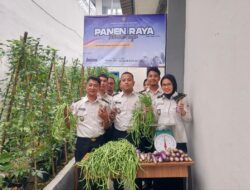 Rutan Kelas IIB Kota Agung Ikuti Panen Raya Serentak Jajaran Pemasyarakatan, Dukung Ketahanan Pangan Nasional