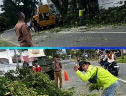 Dinas Lingkungan Hidup Bidang Pengelolaan Sampah dan RTH