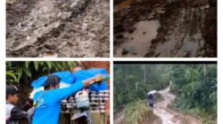 Bangun Seluruh Ruas Jalan di Tanggamus Butuh Sekitar Rp3,6 Triliun