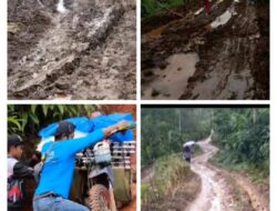 Bangun Seluruh Ruas Jalan di Tanggamus Butuh Sekitar Rp3,6 Triliun