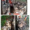Lapor Bunda Eva” Proyek Drainase di Jalan Sultan Haji Kota Sepang, Diduga Kuat Gunakan Material Batu Bekas, dan Tidak Ada Papan Informasi
